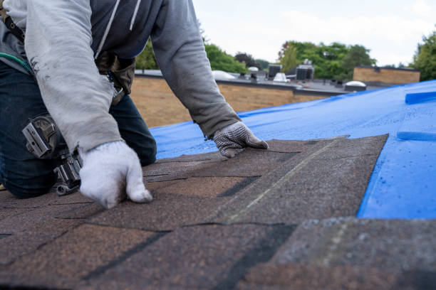 Best Flat Roof Repair Services  in Enochville, NC