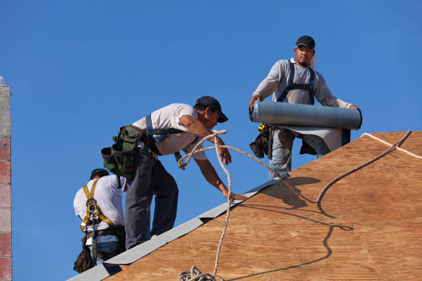 Best New Roof Installation  in Enochville, NC